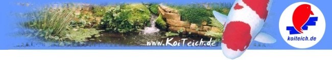 koiobenneu4 koiobenneu4